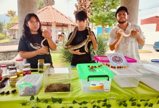 No todas son venenosas: biólogos buscan cambiar percepción sobre serpientes en Veracruz