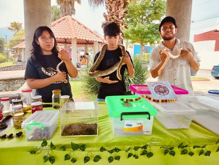 No todas son venenosas: biólogos buscan cambiar percepción sobre serpientes en Veracruz