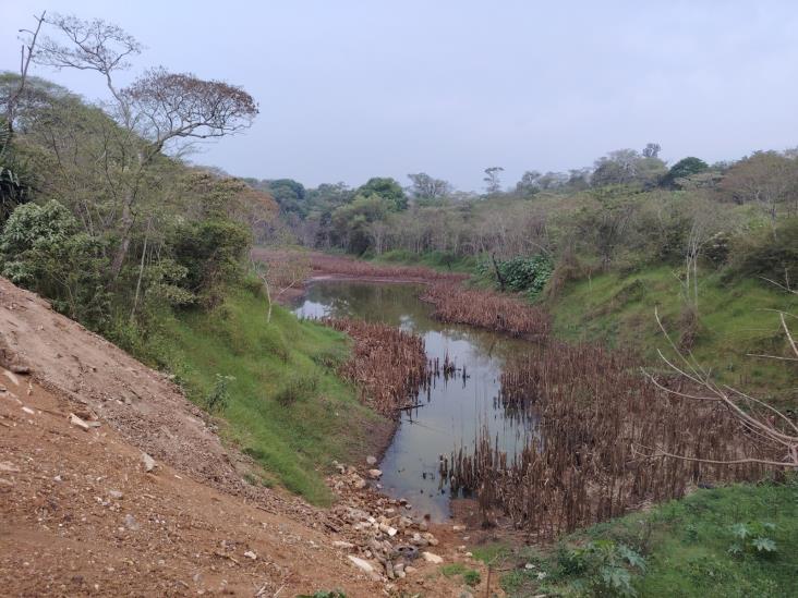Clausuran obra que afectaba humedal en el sur de Xalapa