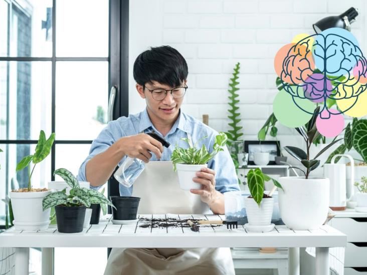 ¿Tienes muchas plantas? Esto significa según la psicología