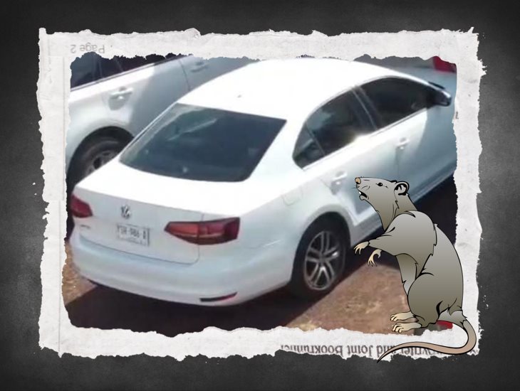 ¿Y la policía? Roban vehículo estacionado en Fortín