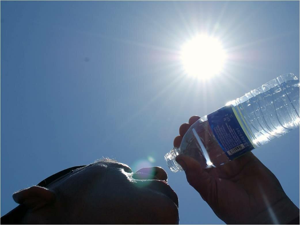 Otra víctima de altas temperaturas, ahora en Agua Dulce