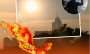 ¡Viene más calor! ¿cuándo inicia la canícula 2025 en México?
