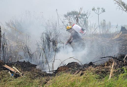 Se incendian pastizales en carretera Fortín-Huatusco