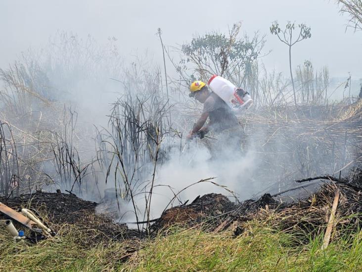 Se incendian pastizales en carretera Fortín-Huatusco