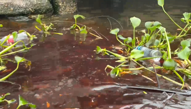 Río Coatzacoalcos amanece con nuevo derrame de hidrocarburo; reportan olor asfixiante Río Coatzacoalcos amanece con nuevo derrame de hidrocarburo; reportan olor asfixiante