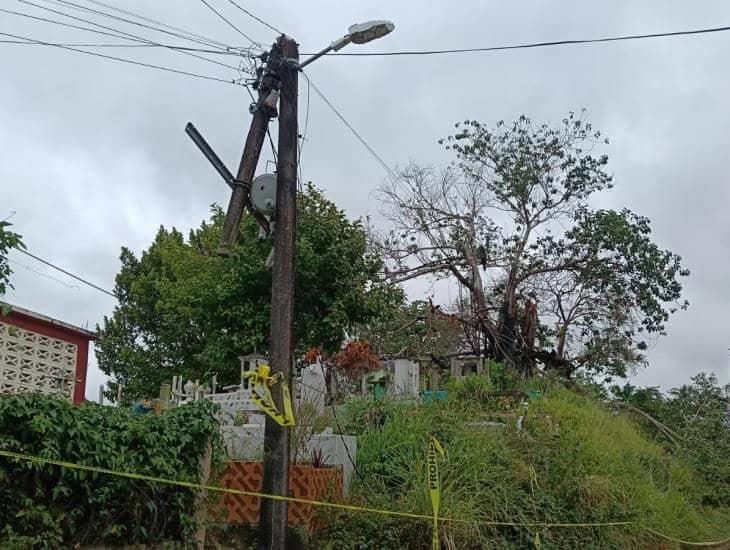 Caída de enorme rama fracturó poste e interrumpió el servicio eléctrico en Moloacán | VIDEO