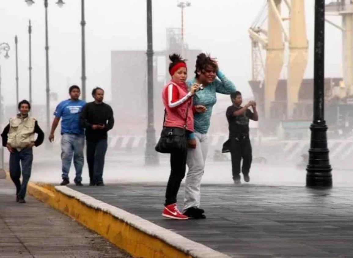 Norte pone "felices" a los jarochos