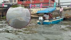 Río Coatzacoalcos amanece con nuevo derrame de hidrocarburo; reportan olor asfixiante