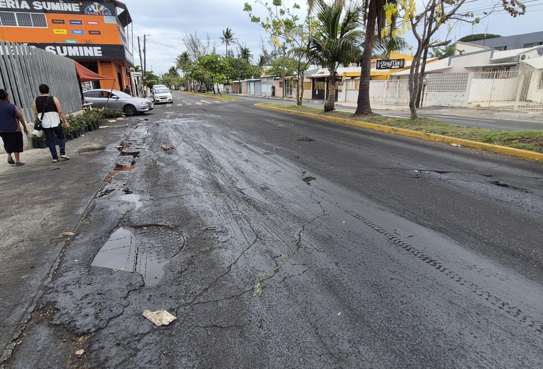 Una mancha que cubre la avenida Floresta Oriente de Veracruz provoca accidentes