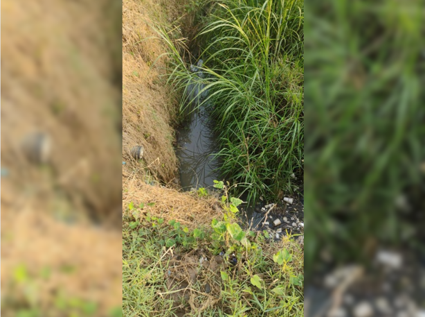 Alertan por agua contaminada en El Castillo; reportan brote de enfermedades