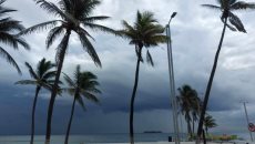 Así estará el clima en Veracruz este domingo 11 de mayo