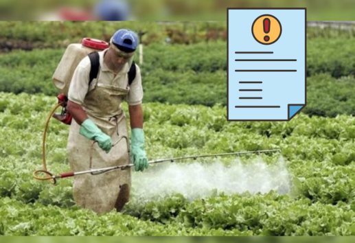 Ambientalistas exigen frenar el uso de agrotóxicos en zonas de Tlalnelhuayocan y Coatepec