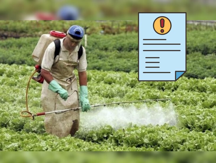Ambientalistas exigen frenar el uso de agrotóxicos en zonas de Tlalnelhuayocan y Coatepec