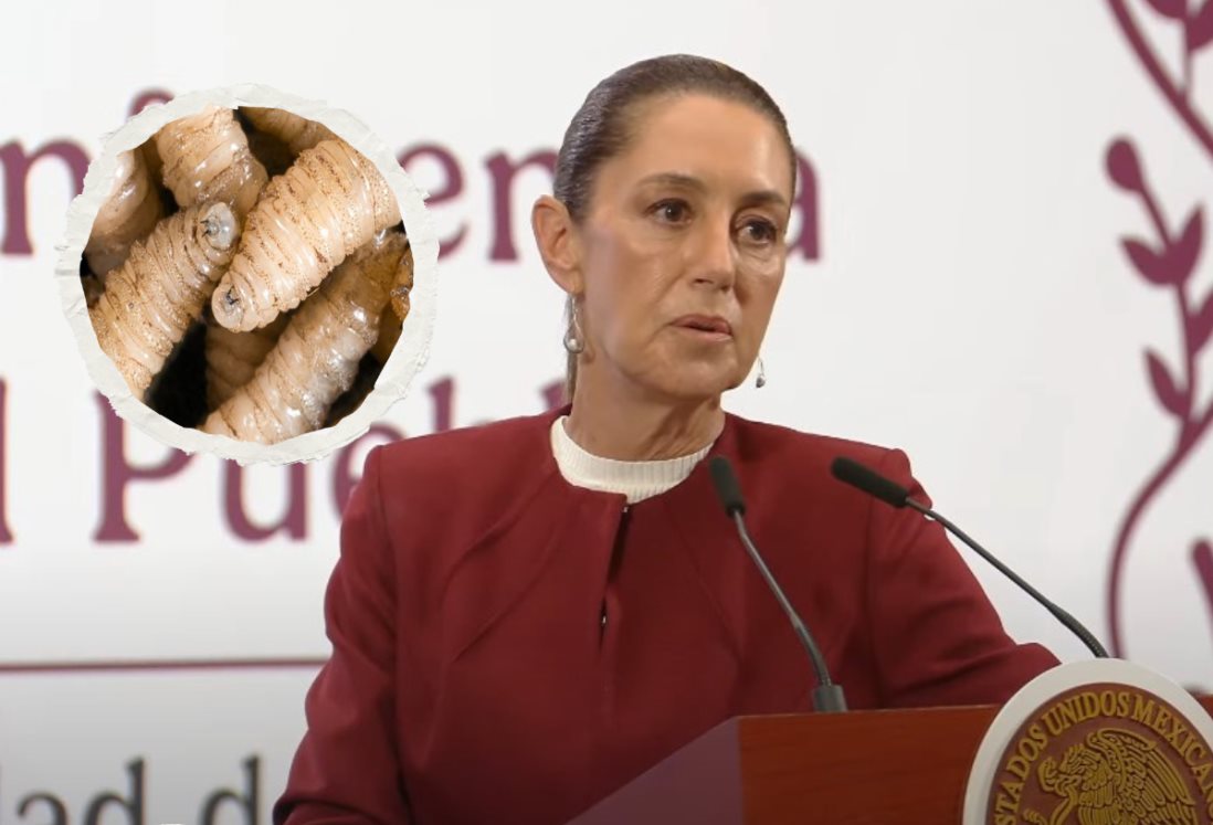 "México se le respeta", responde Claudia Sheinbaum a medida de EU por gusano barrenador