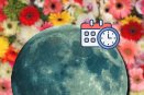 Luna de Flores en mayo 2025: por qué se llama así y hasta cuándo podrás verla