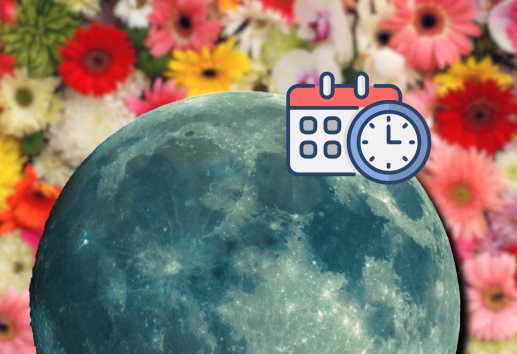 Luna de Flores en mayo 2025: por qué se llama así y hasta cuándo podrás verla