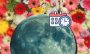 Luna de Flores en mayo 2025: por qué se llama así y hasta cuándo podrás verla