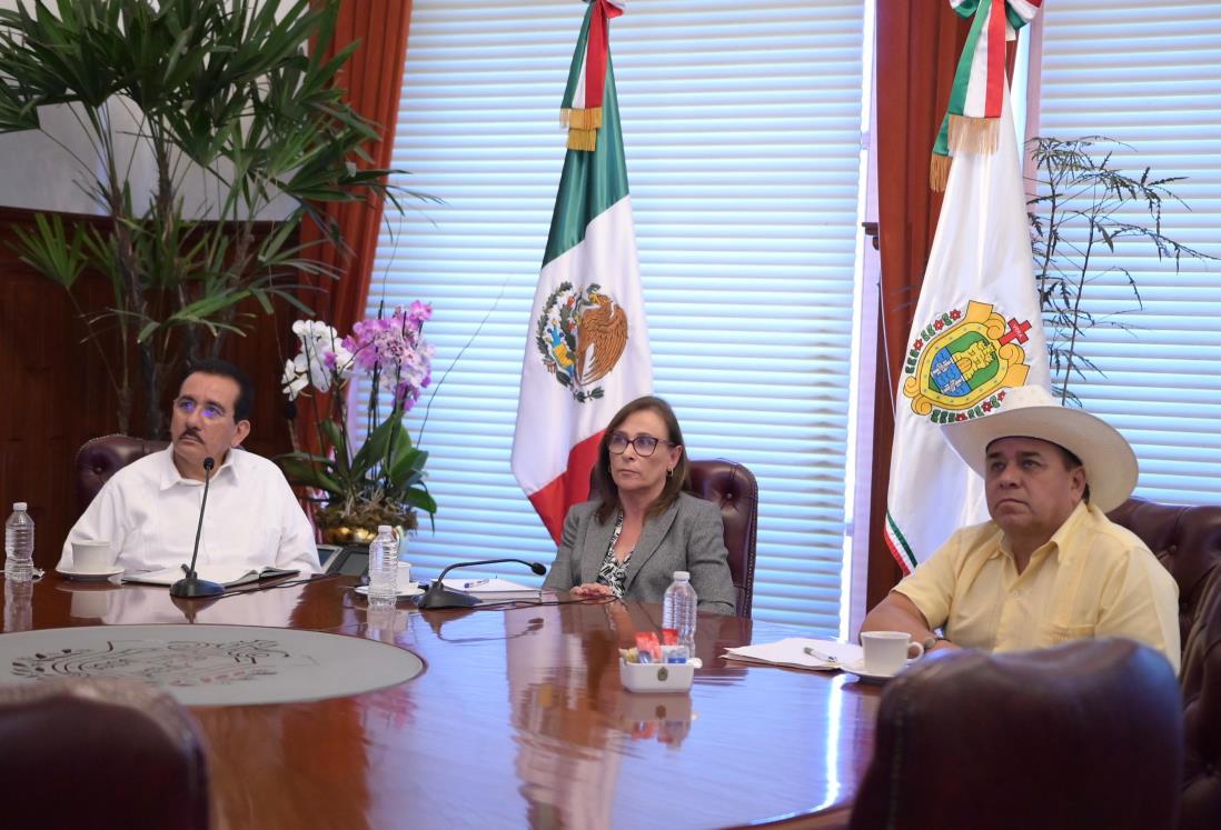 Veracruz refuerza control sanitario ante contingencia ganadera: Rocío Nahle