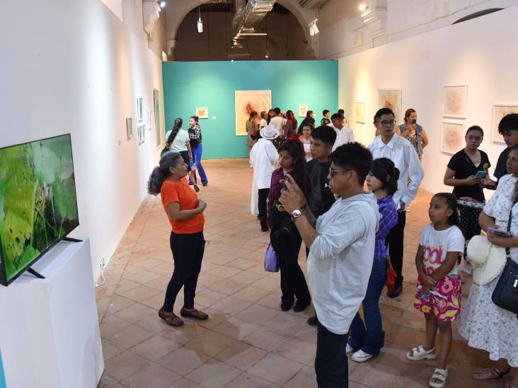 Disfrutan la presentación de ´Folklor huasteco y danzones´