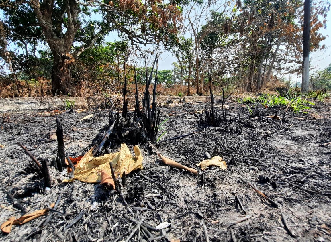 Quema de maleza agrava problemas de calor e impacto ambiental en Agua Dulce