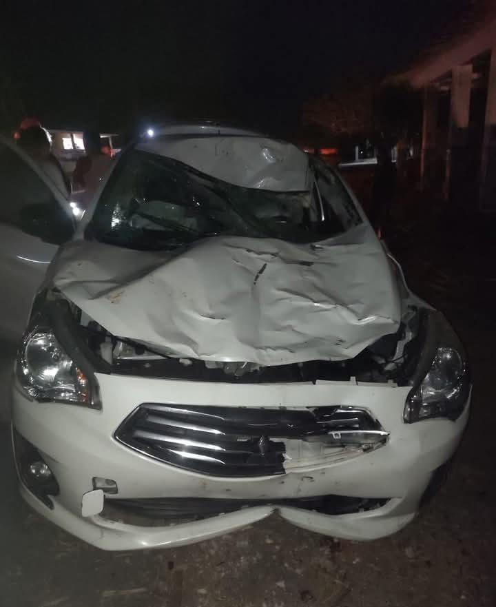 Automóvil atropella una vaca en la carretera Veracruz-Córdoba