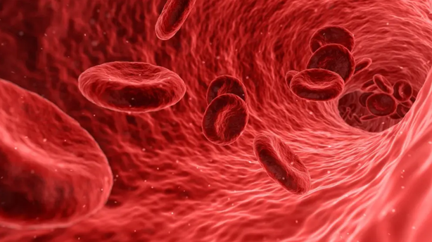 ¿Lo sabías?: esta es la fruta menos conocida que ayuda a prevenir la anemia 