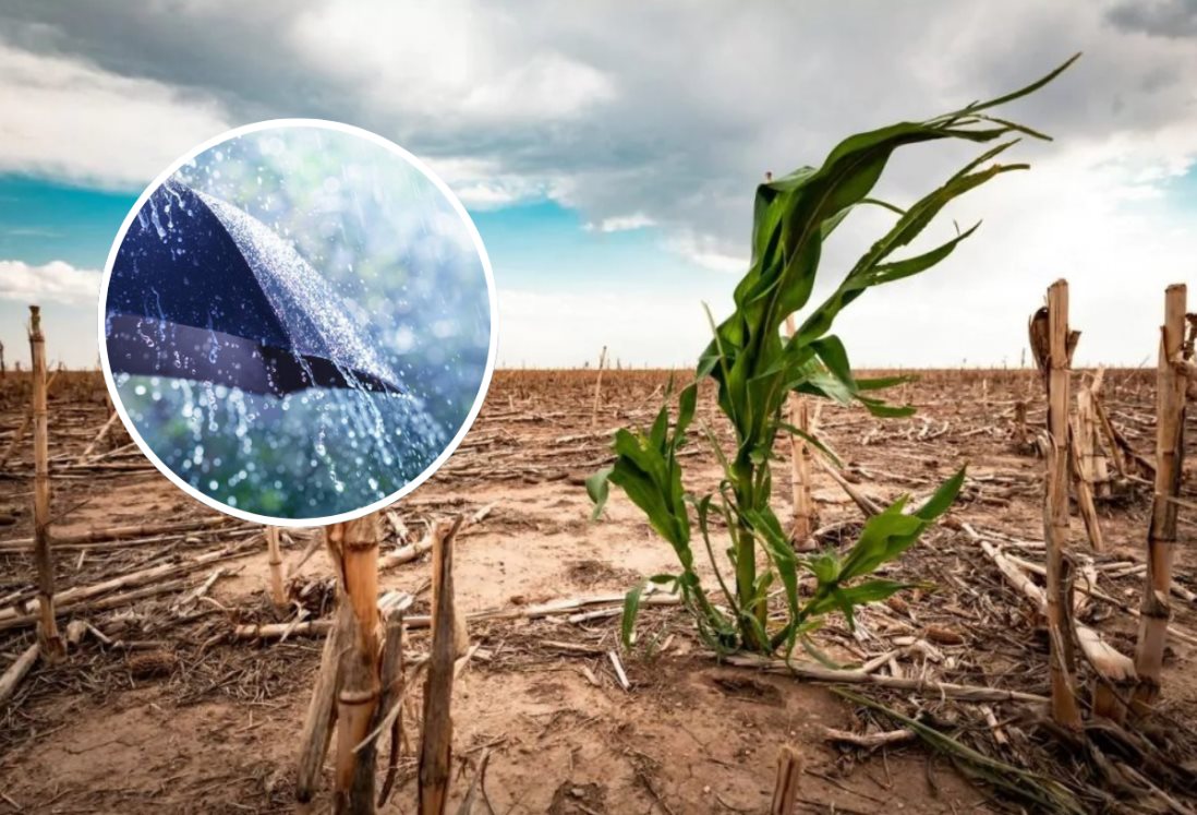 En estos días se esperan nulas probabilidades de lluvia en Veracruz