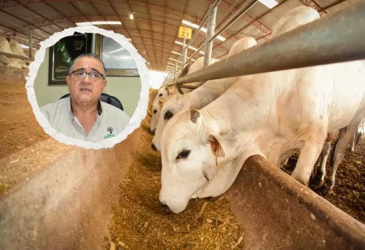 Especulación por gusano barrenador desploma precio del ganado en Veracruz