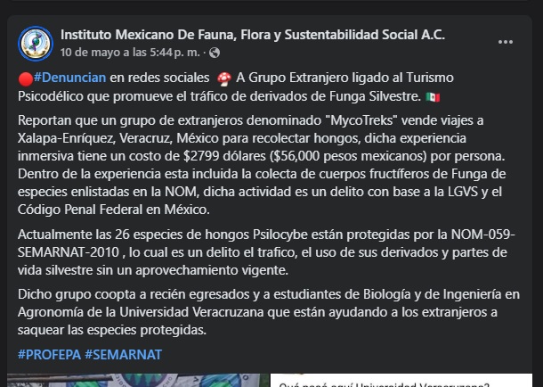 Denuncian posible tráfico de hongos en Xalapa; lo ocultan como ´tour psicodélico´
