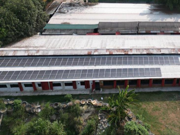 Piden revisión a granja porcina en Coatzintla por contaminación de arroyo