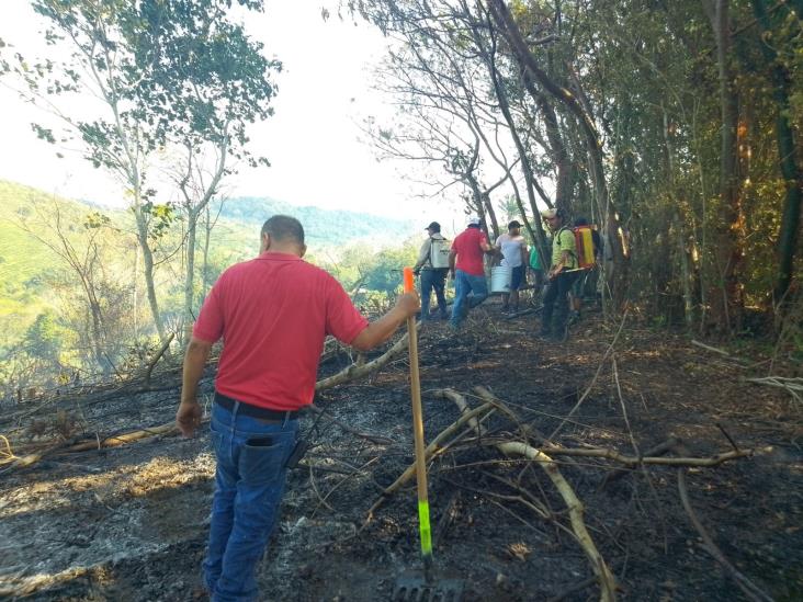 Logran sofocar incendio de pastizal en Misantla