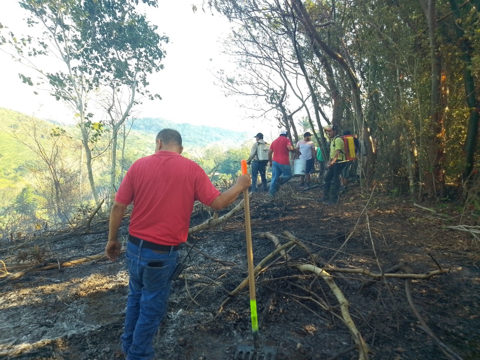 Logran sofocar incendio de pastizal en Misantla