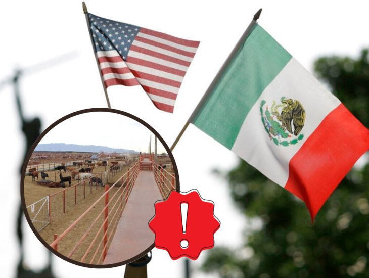 México reforzará control de ganado en la frontera sur por brote de gusano barrenador