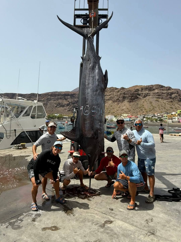 Pescadores de Veracruz capturan mega pez marlín de más de 400 kilos
