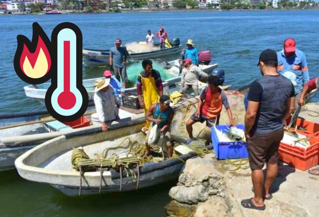 Calor extremo en el mar reduce producción del mar, advierten pescadores de Veracruz