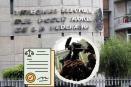 TEPJF sancionó a periodista veracruzano por decir que candidata era hija de un alcalde