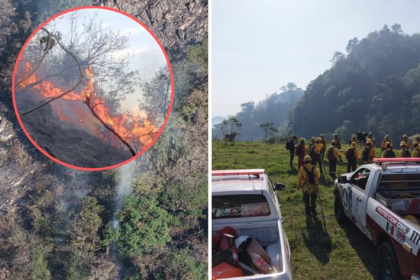 Avanza al 70% control de incendio forestal en Ixtaczoquitlán