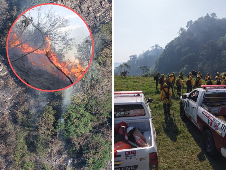 Avanza al 70% control de incendio forestal en Ixtaczoquitlán