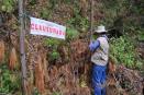 Profepa clausuró predio en Coatepec por tala ilegal