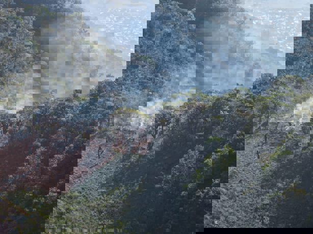 Avanza al 70% control de incendio forestal en Ixtaczoquitlán