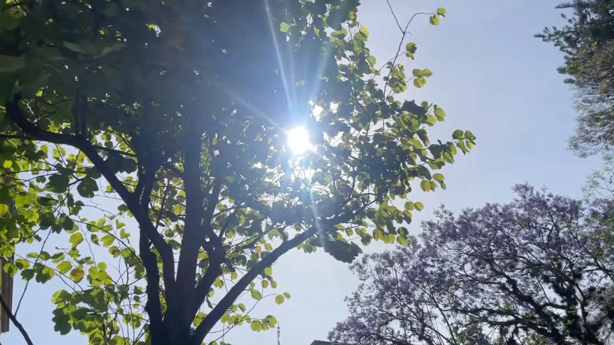 Así estará el clima en Xalapa hoy miércoles 14 de mayo: ¡hará calor!