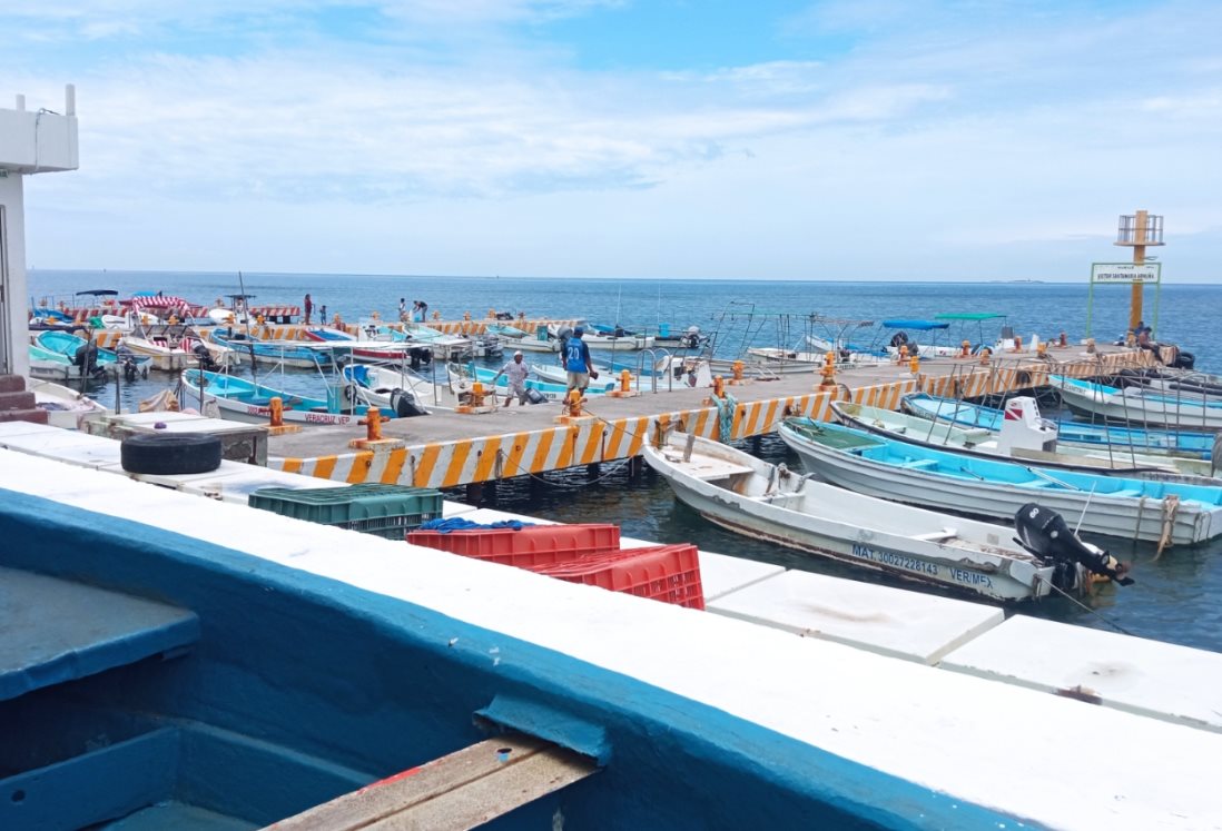 Suradas afectaron la venta de productos del mar de pescadores de Veracruz