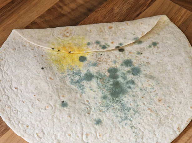 Calor en Veracruz: ¿Qué alimentos se echan a perder primero y cuáles refrigerar?