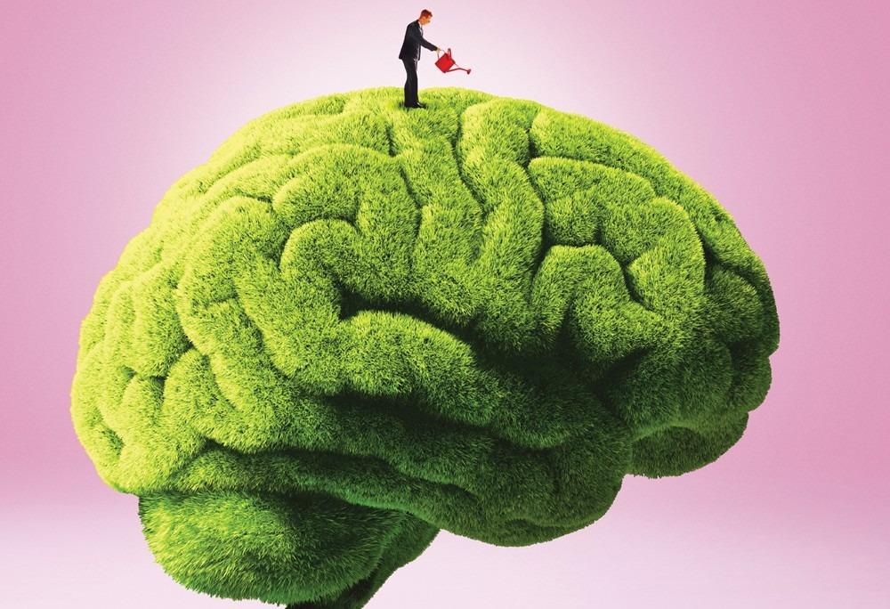 La inteligencia de los vegetales