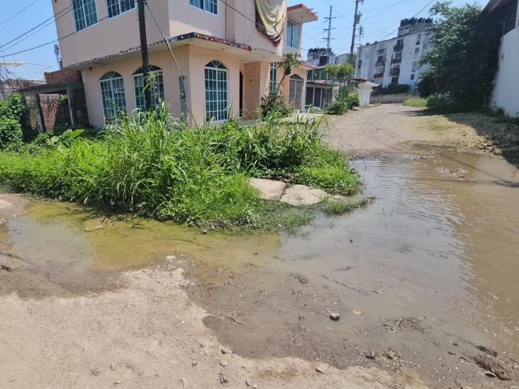 Colonia Magisterio de Poza Rica, entre aguas negras