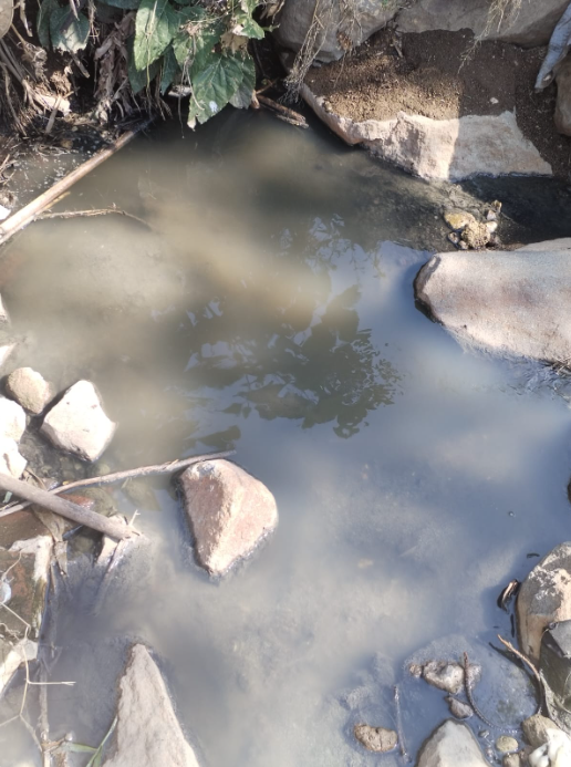 Arroyos en Xalapa, convertidos en drenajes a cielo abierto