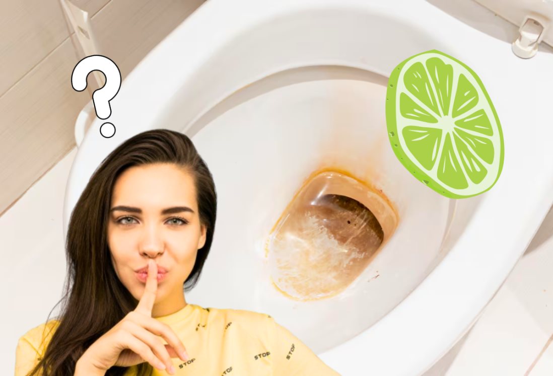 Así puedes quitar el sarro de tu inodoro con ingredientes naturales ¿Por qué se forma?