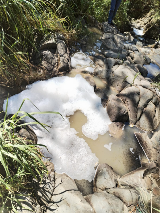 Arroyos en Xalapa, convertidos en drenajes a cielo abierto