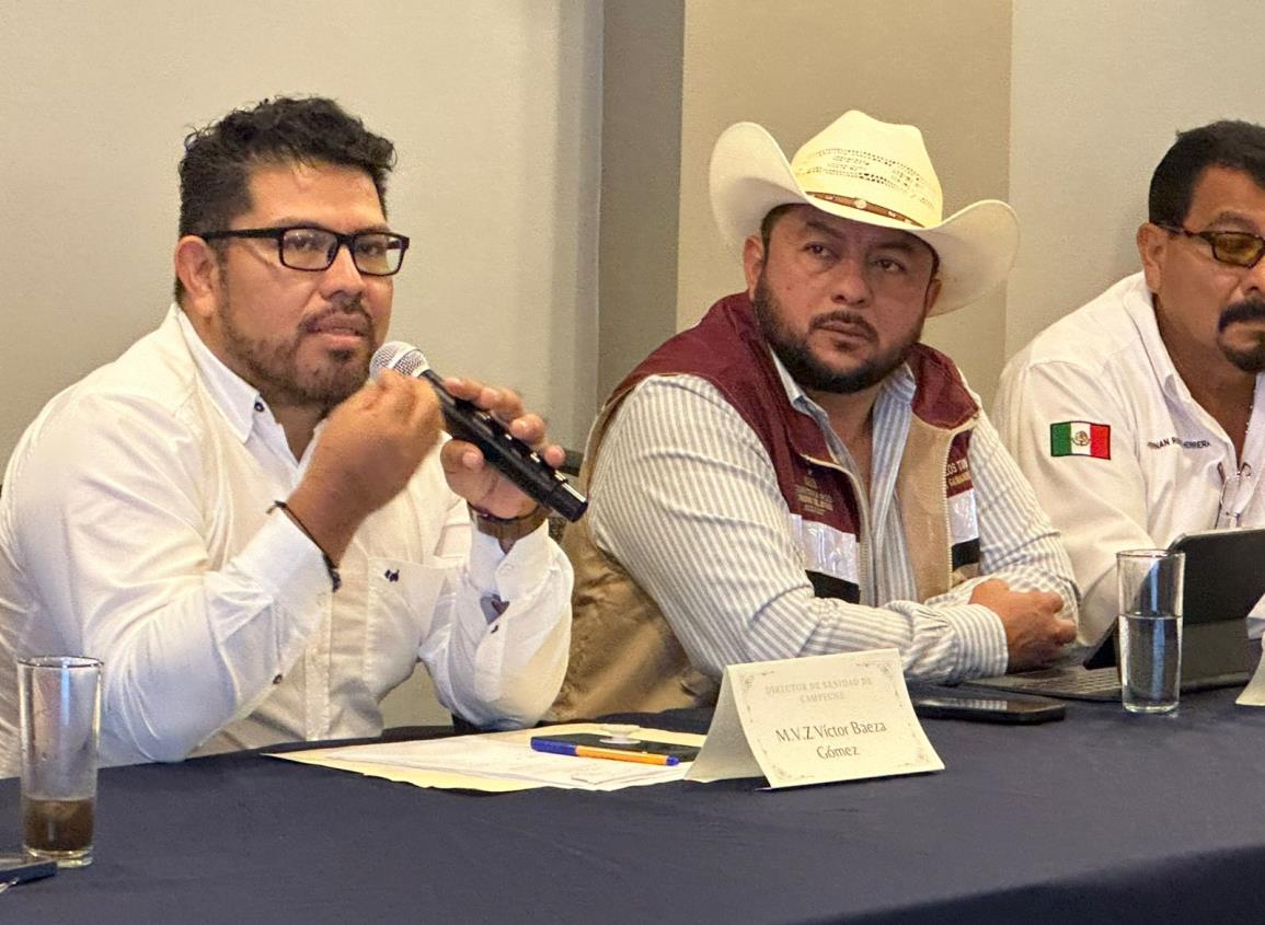 Campeche se declara en alerta por gusano barrenador; innumerables casos detectados